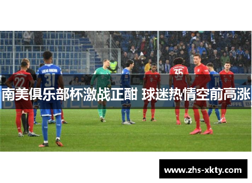 南美俱乐部杯激战正酣 球迷热情空前高涨