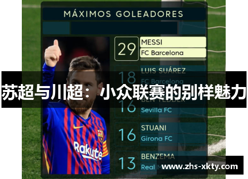 苏超与川超：小众联赛的别样魅力